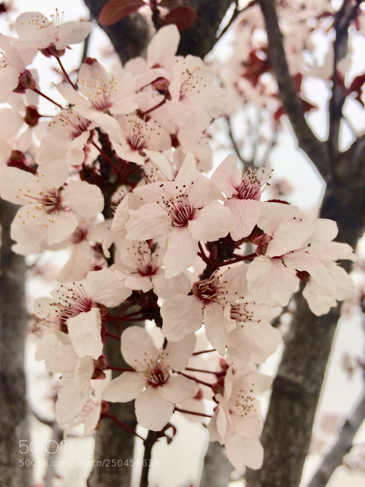 Apple iPhone 5s sample photo. Untitled photography