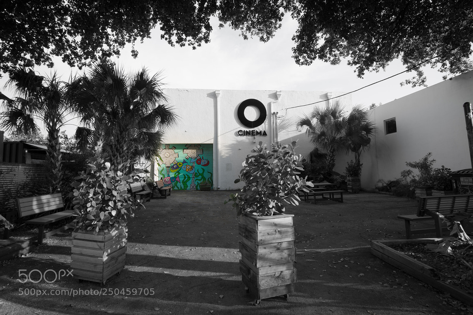 Nikon D7200 sample photo. Miami photography