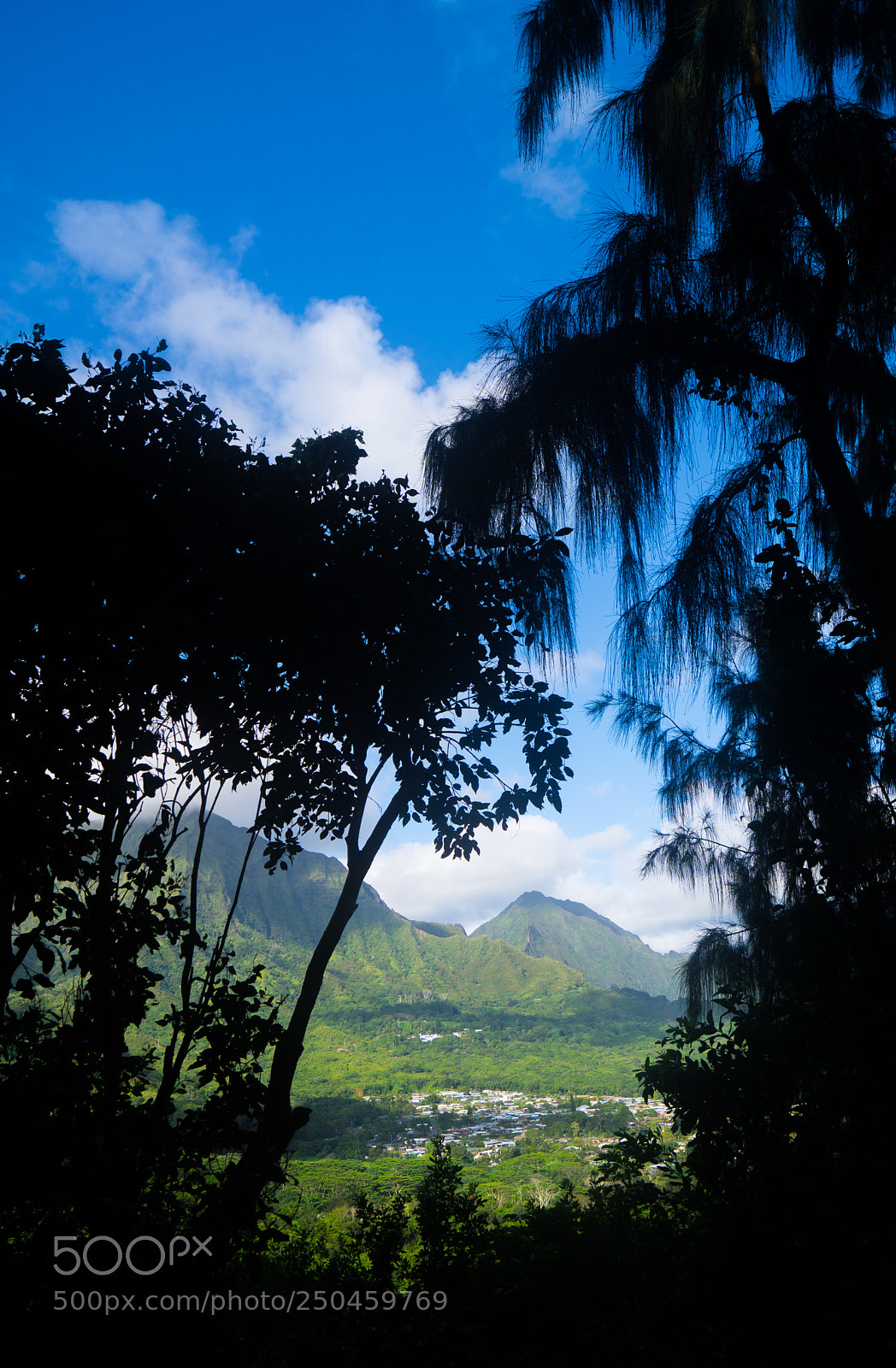 Sony ILCA-77M2 sample photo. Ascending olomana photography