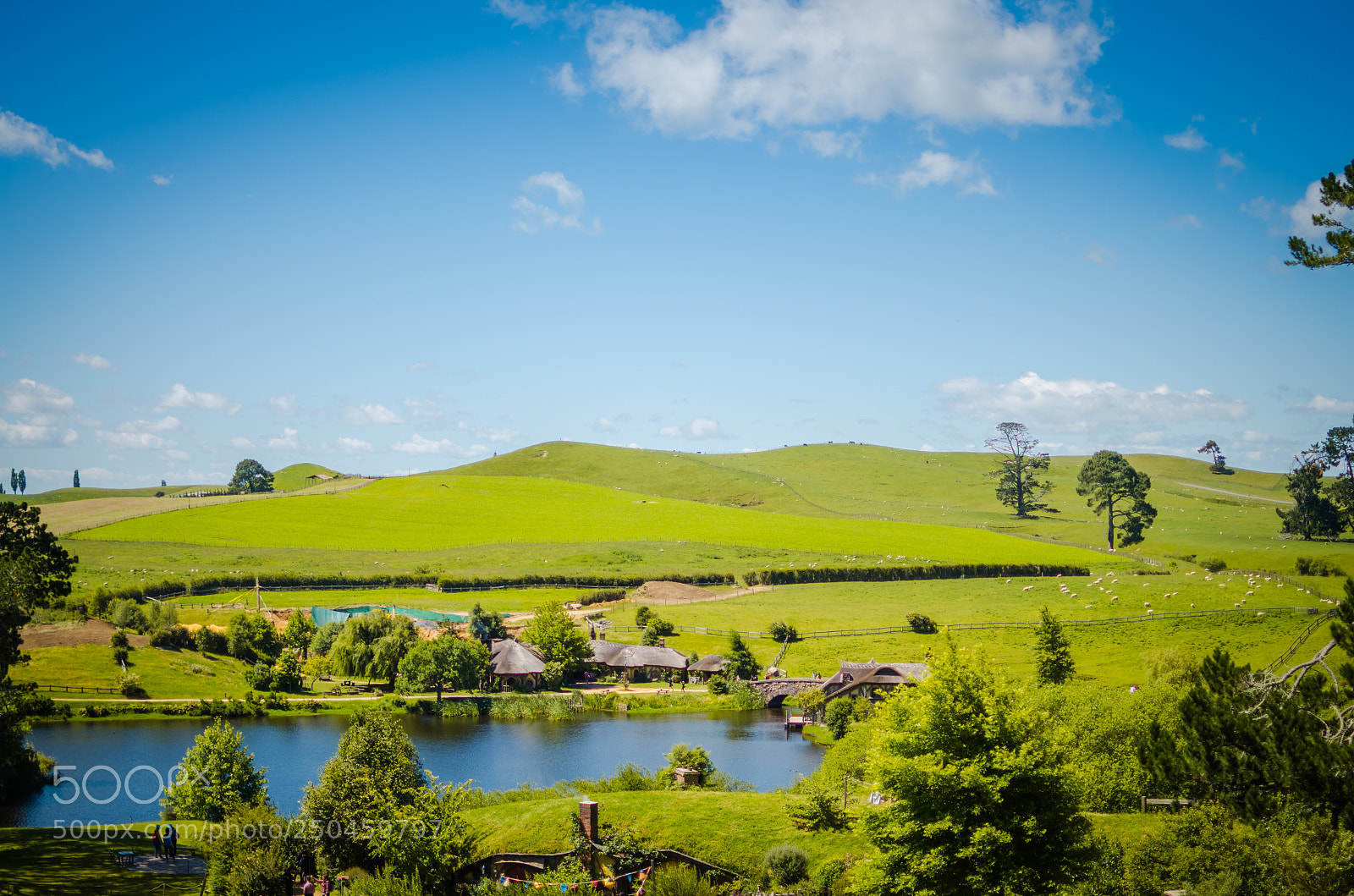 Nikon D7000 sample photo. The shire photography