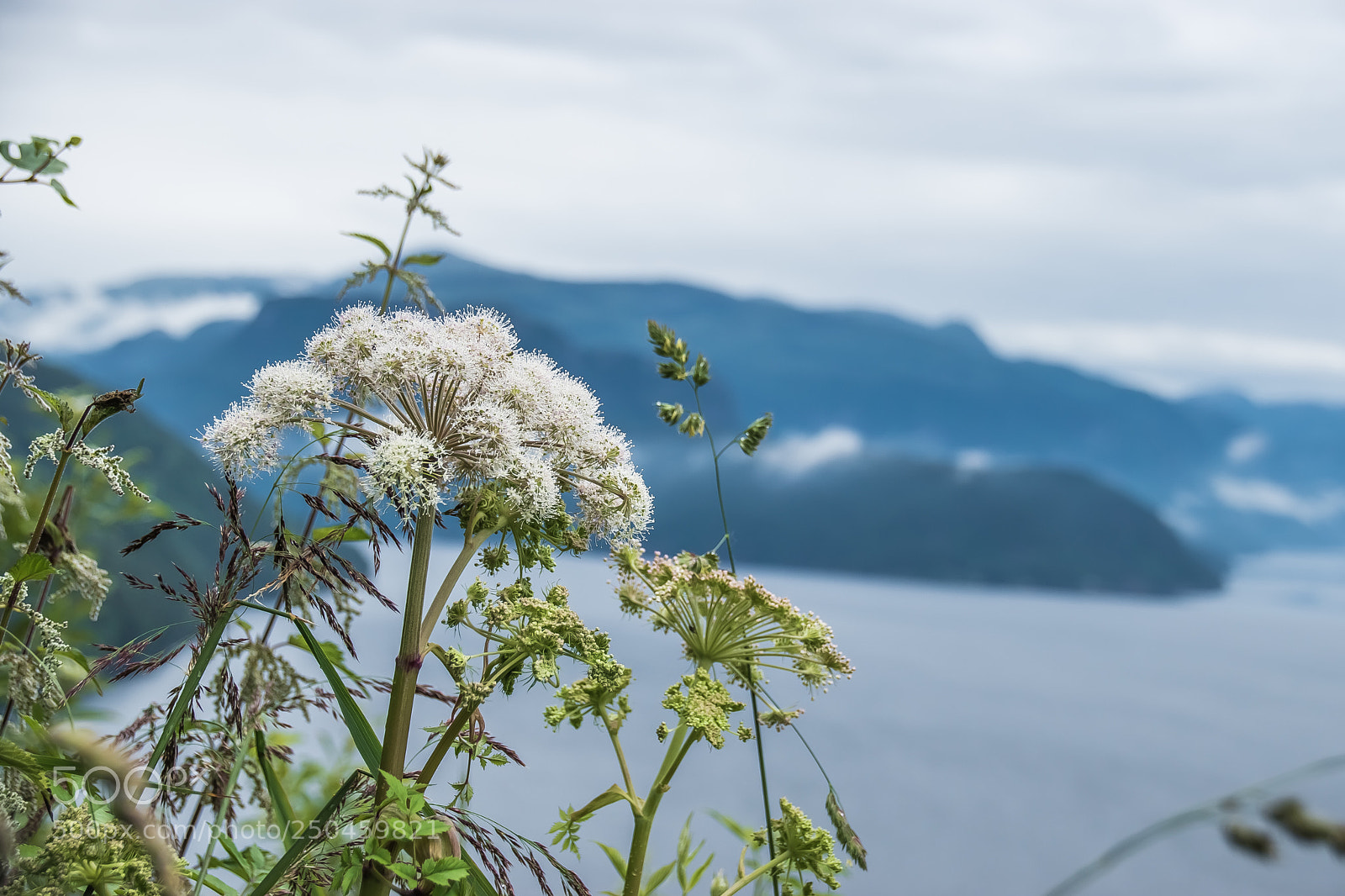 Nikon D5500 sample photo. Norway somewhere along the photography