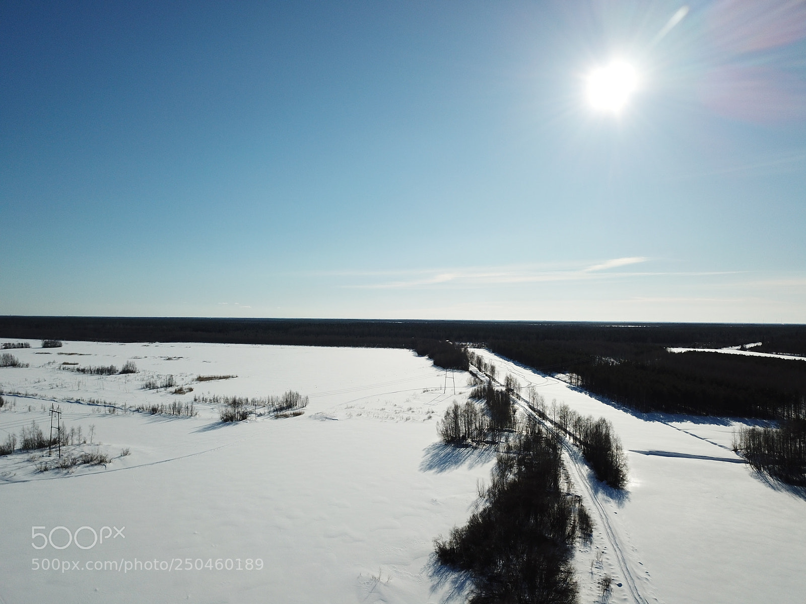 DJI FC220 sample photo. Forest in the air photography