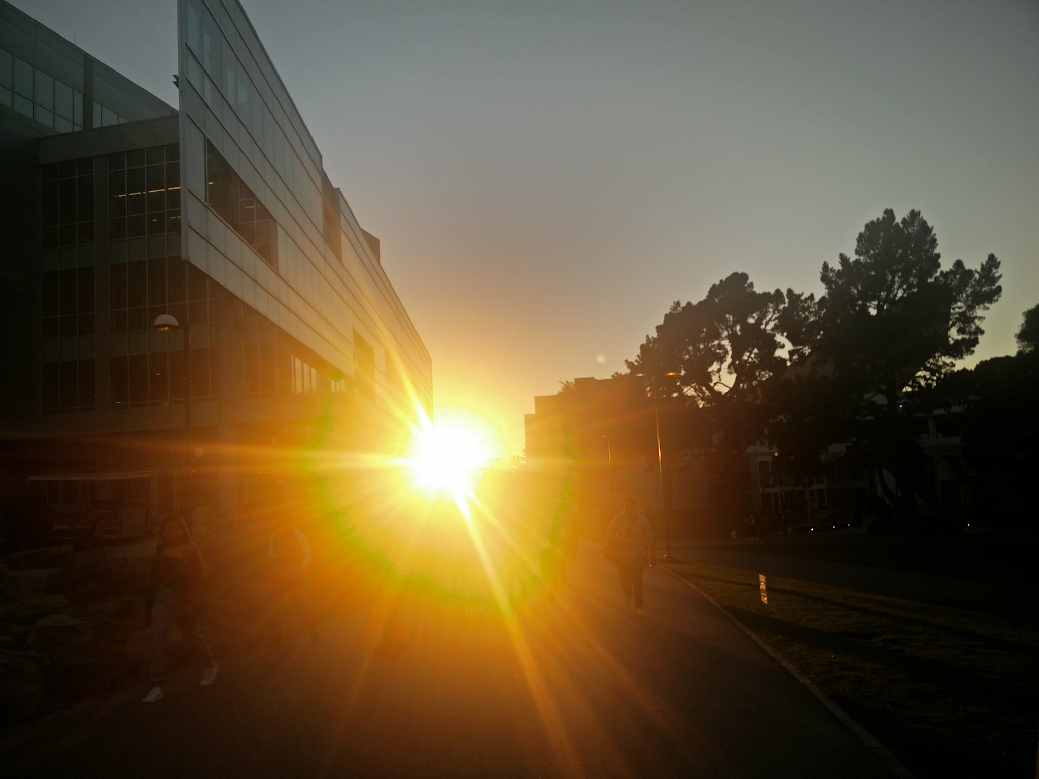 OnePlus 2 sample photo. Streak of light. photography