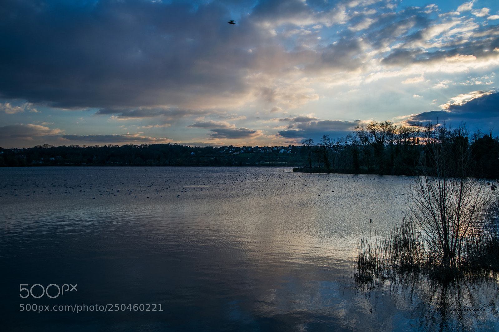 Nikon D3300 sample photo. Sunset photography