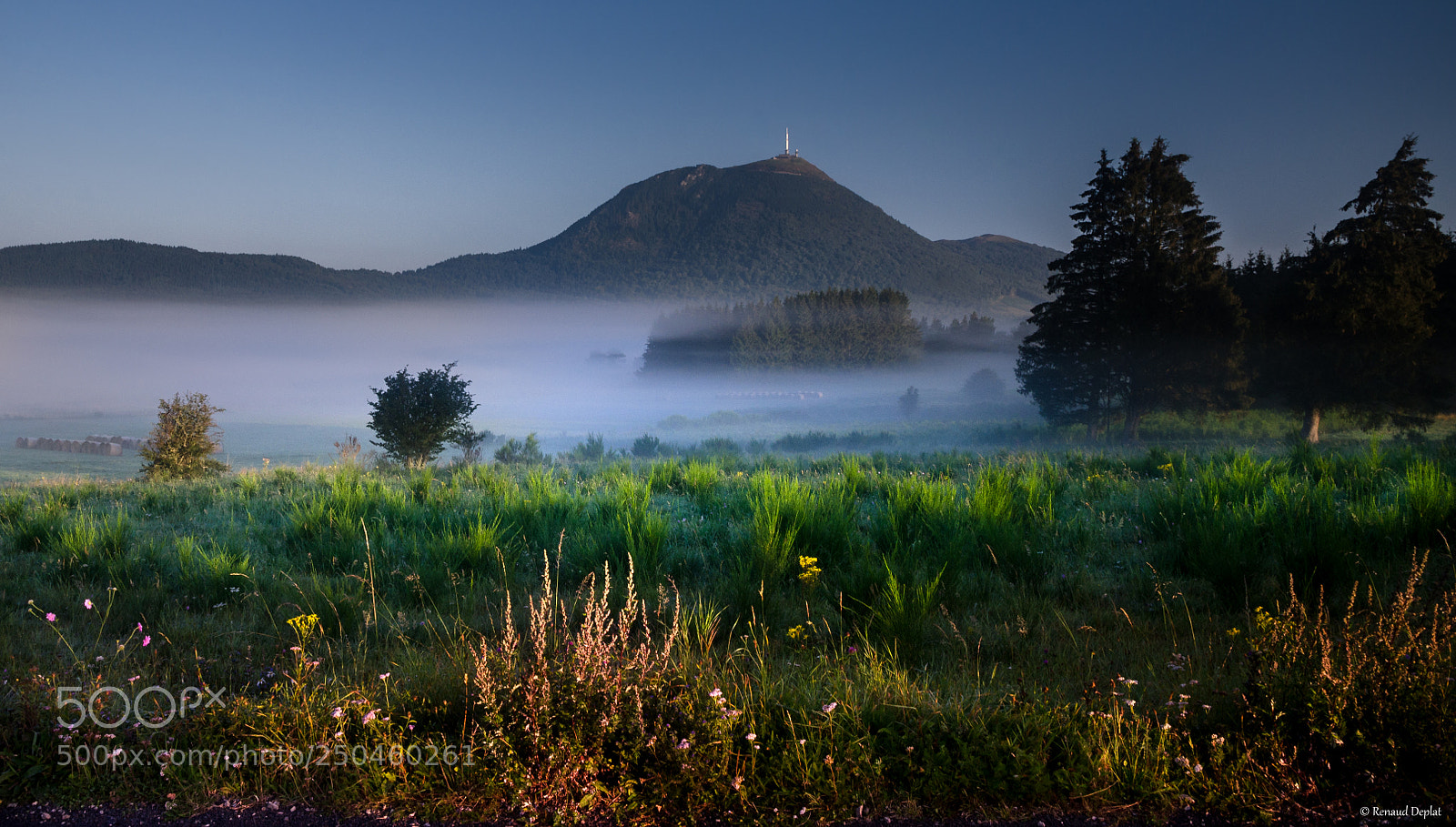 Nikon D7000 sample photo. Brume du matin... photography