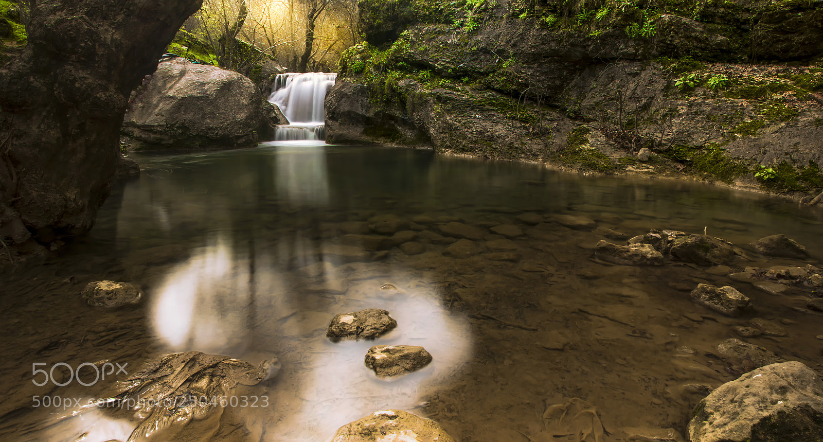 Canon EOS 70D sample photo. Among silence river photography