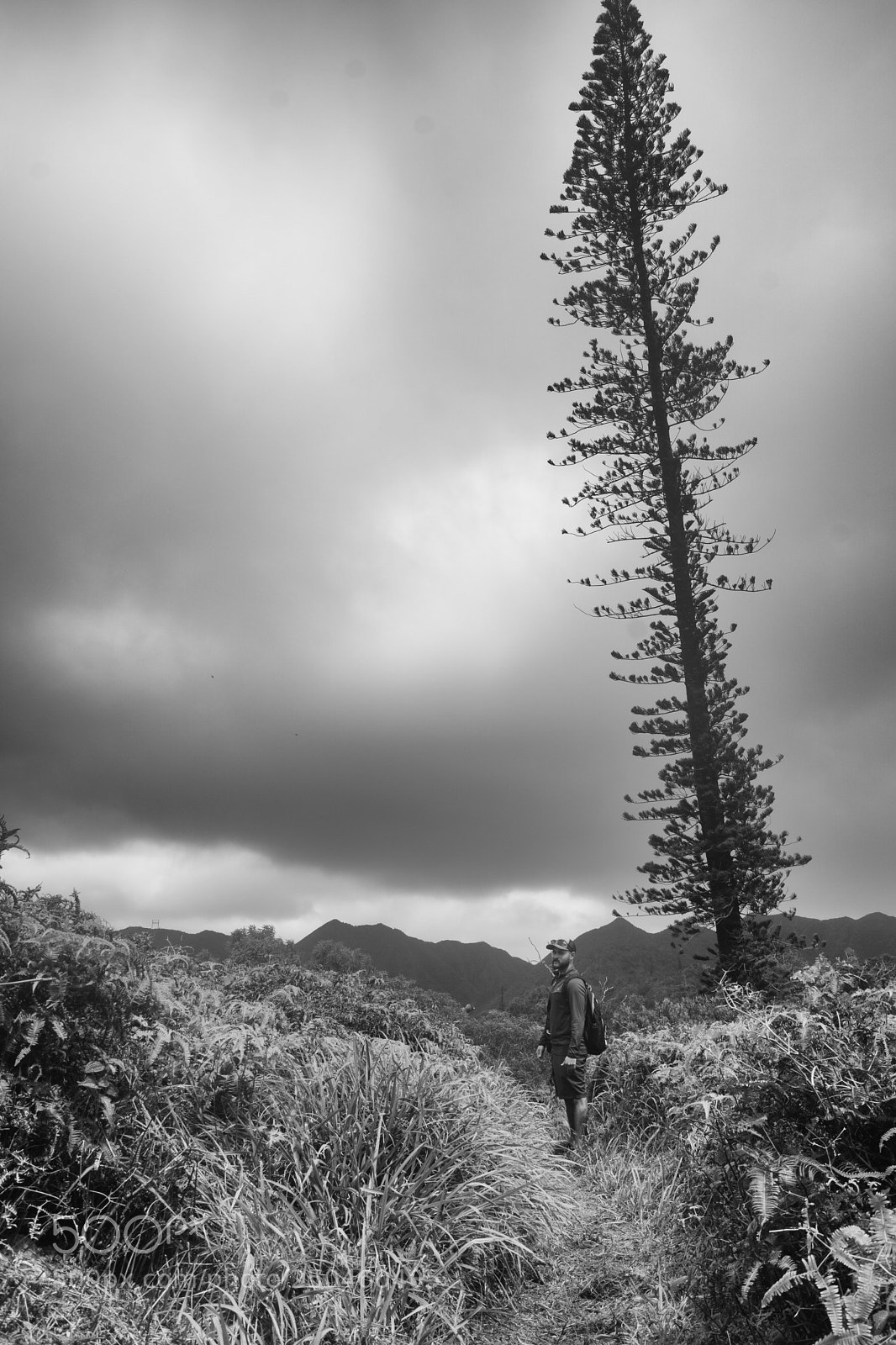 Sony ILCA-77M2 sample photo. Lone hiker photography