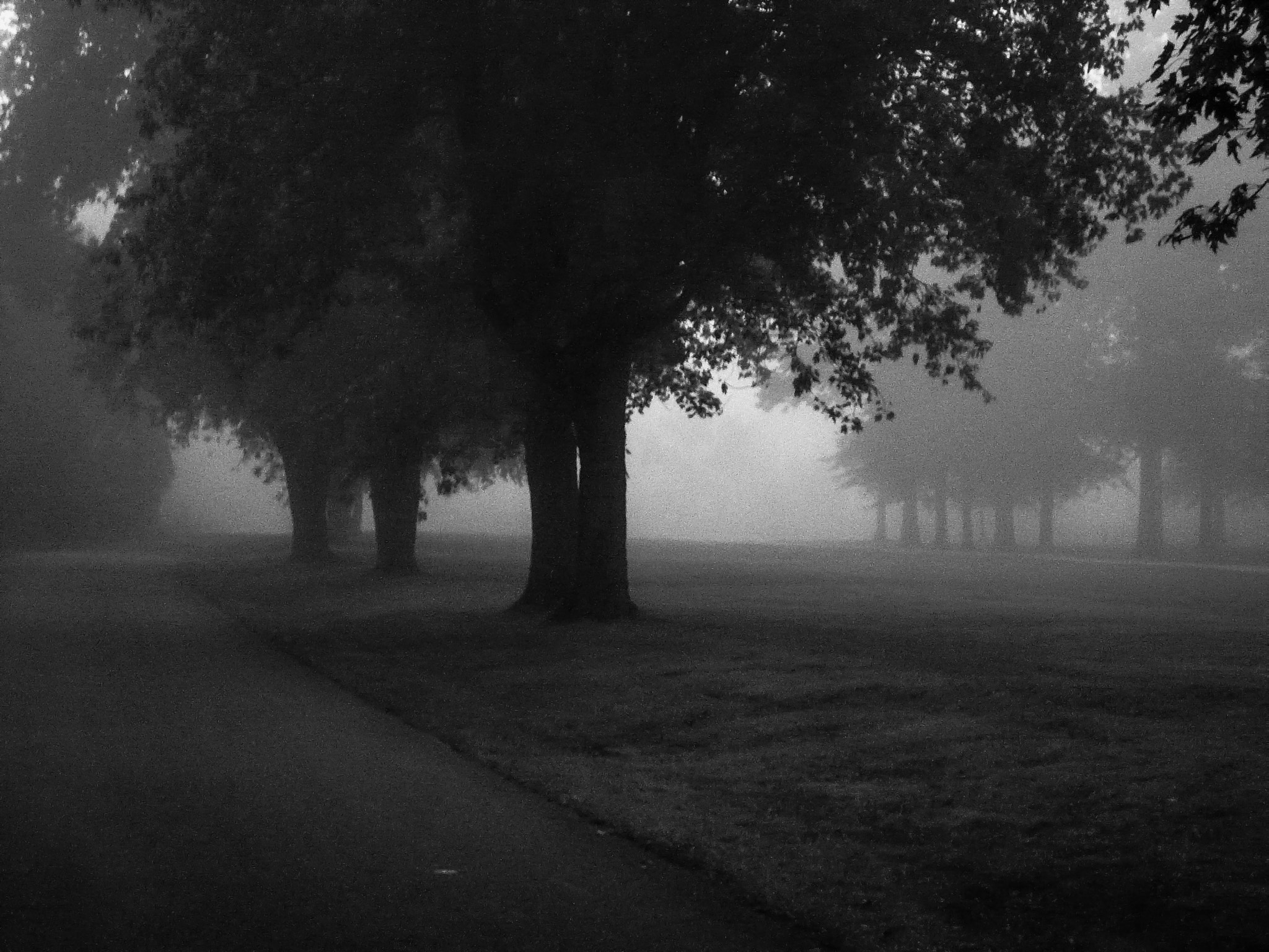 Panasonic DMC-FX07 sample photo. Another foggy morning photography