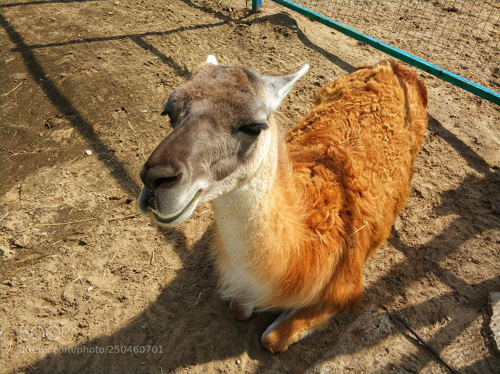 Xiaomi MI6 sample photo. Коломенский р-он, д.Горки photography