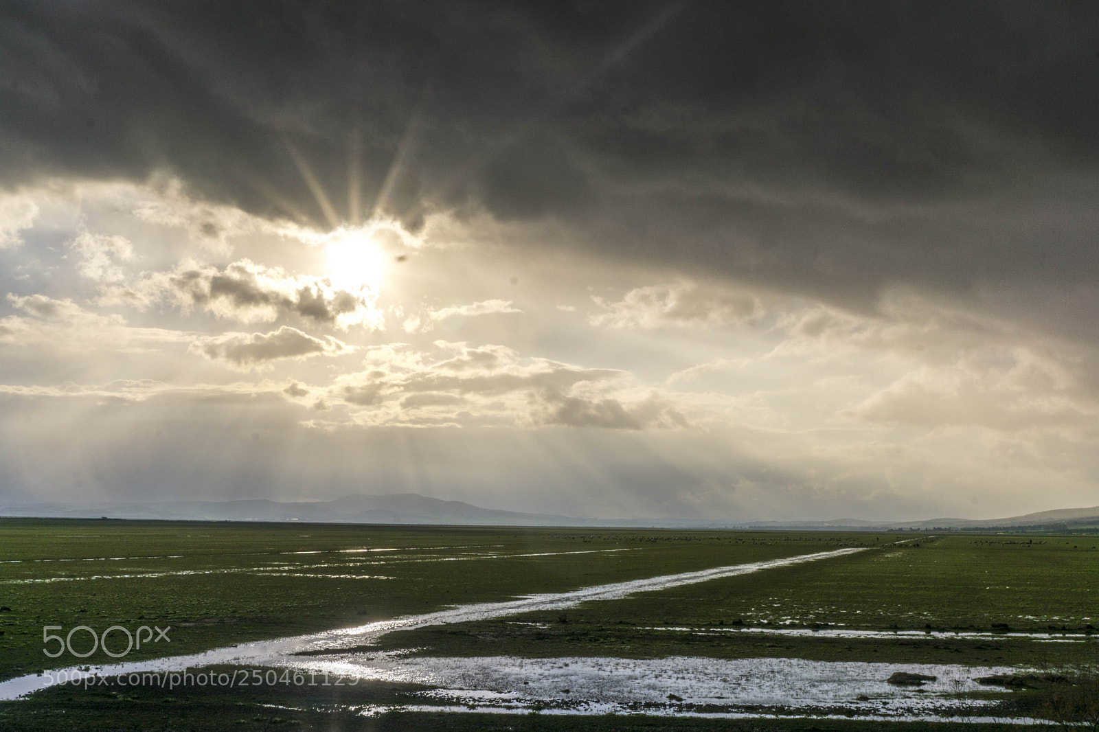 Sony a6000 sample photo. Dsc photography
