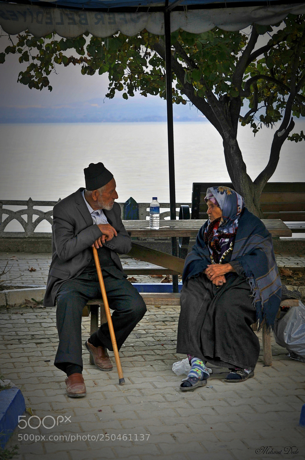 Nikon D300S sample photo. Life is like this photography