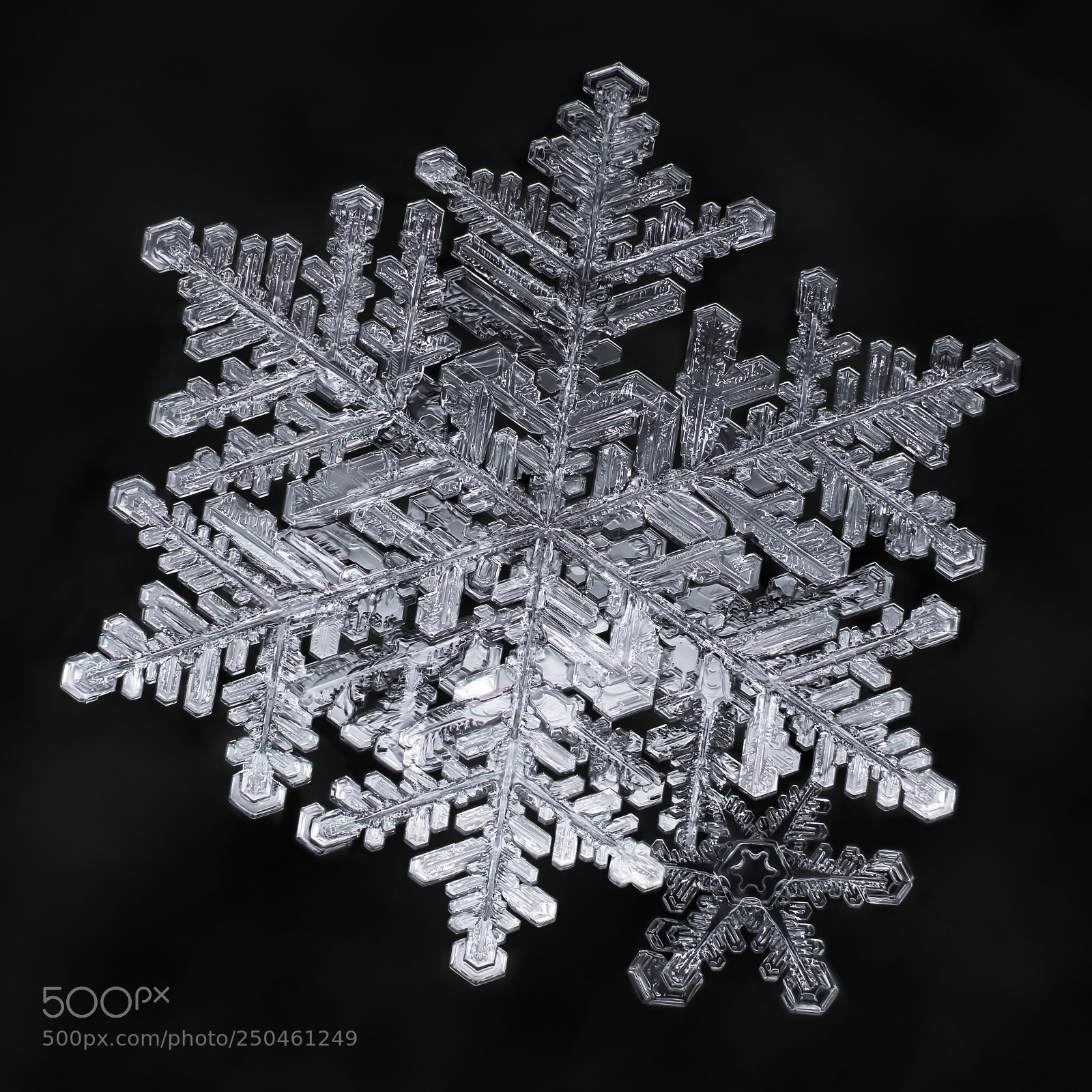 Canon EOS-1D X Mark II sample photo. Snowflake-a-day no. 69 photography