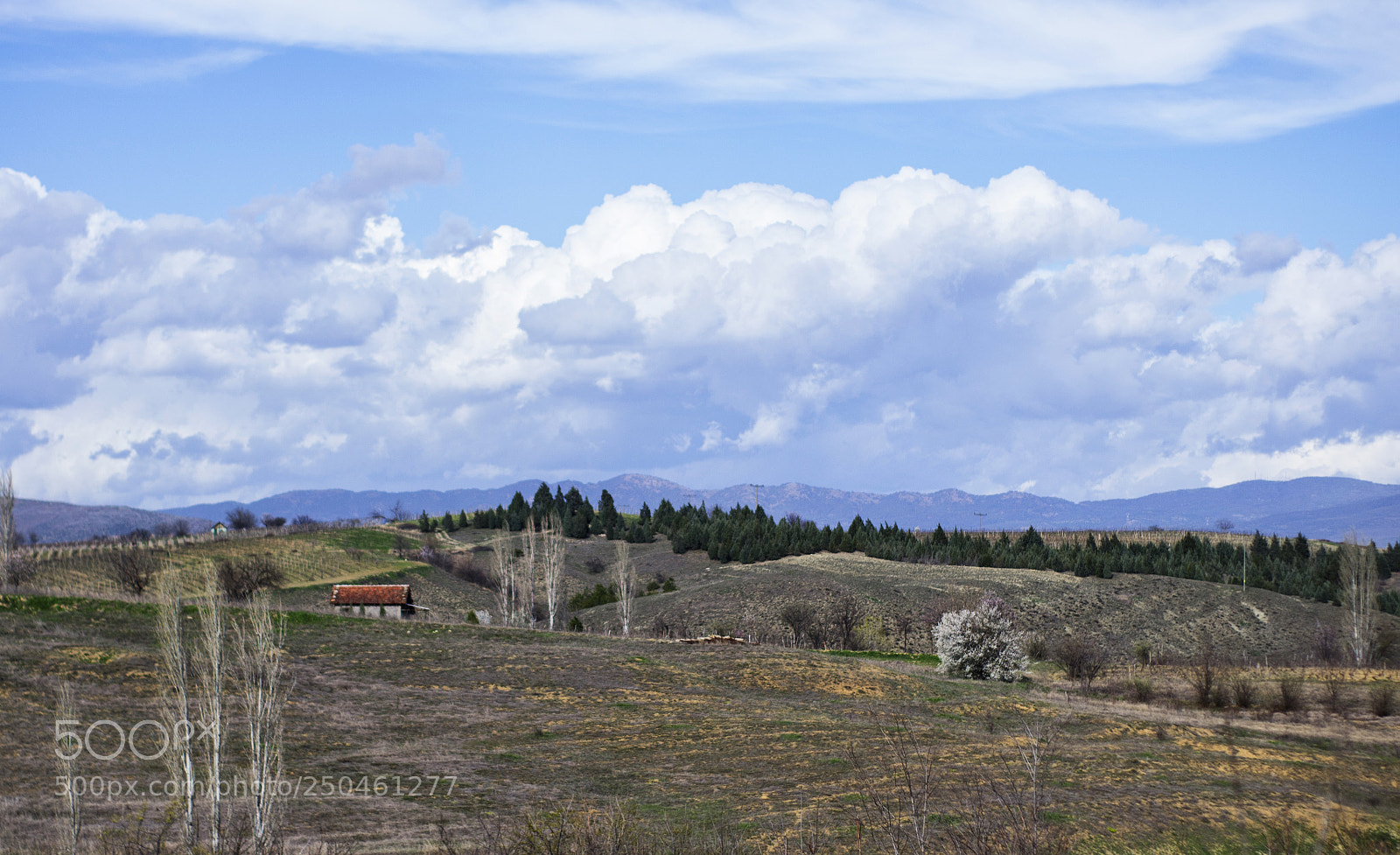 Nikon D3100 sample photo. House on the hill photography