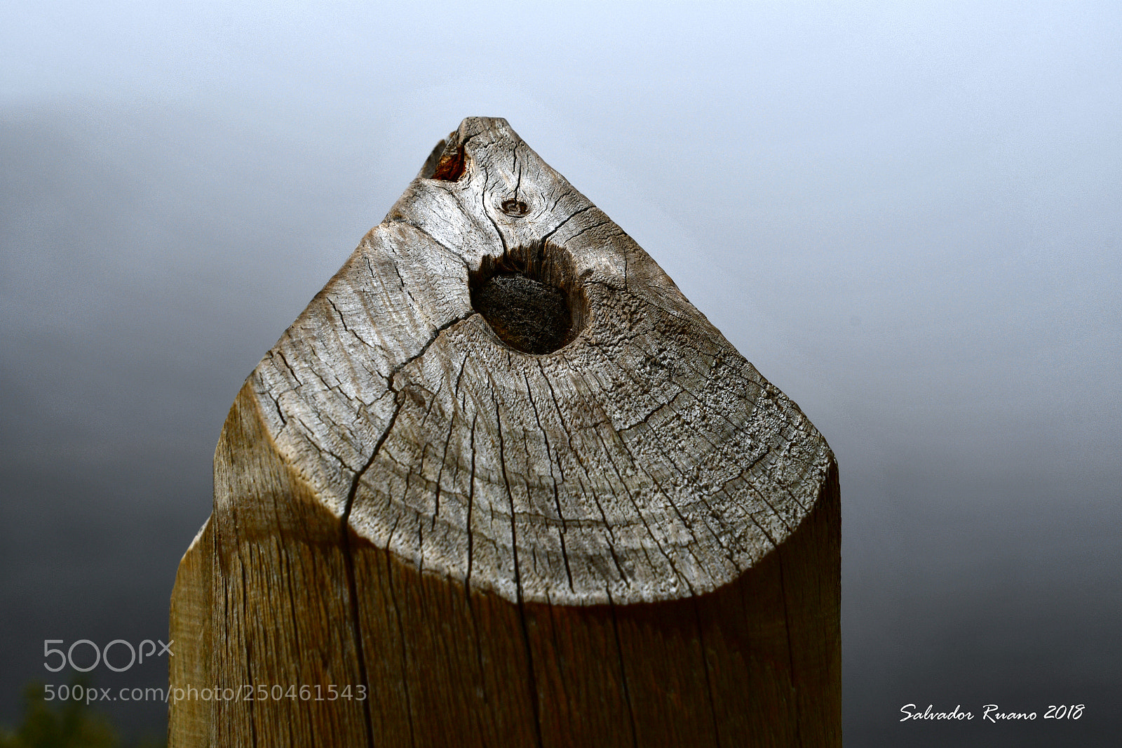 Nikon D7500 sample photo. Wood texture photography