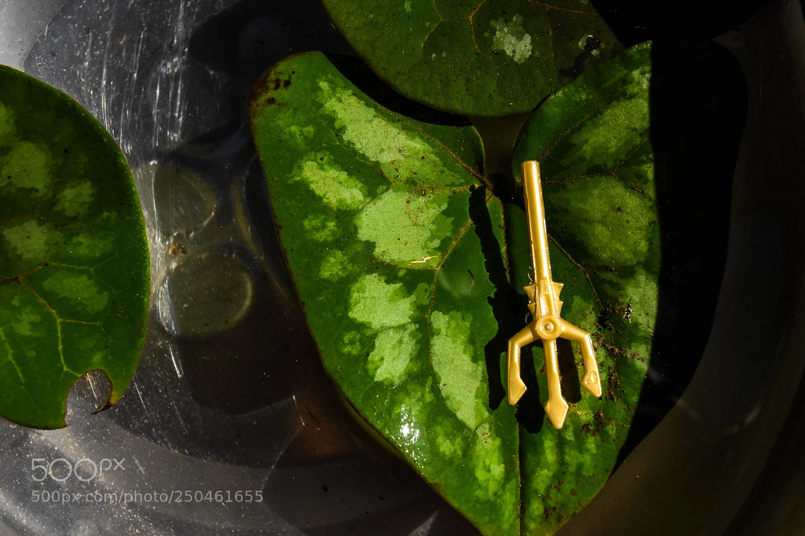 Nikon D7200 sample photo. Wonder photography