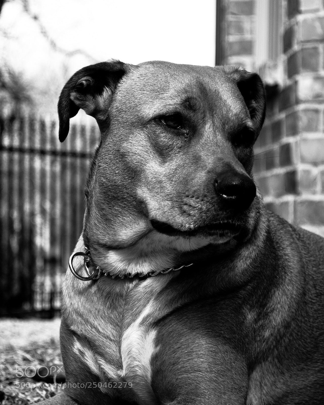 Nikon D3100 sample photo. Crazy cali photography