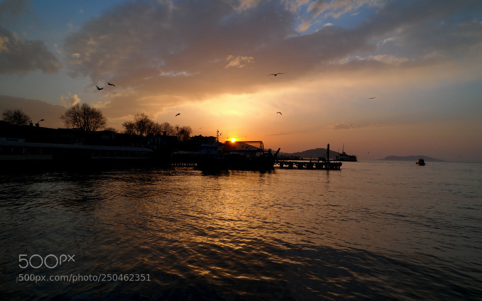 Samsung NX30 sample photo. ... photography