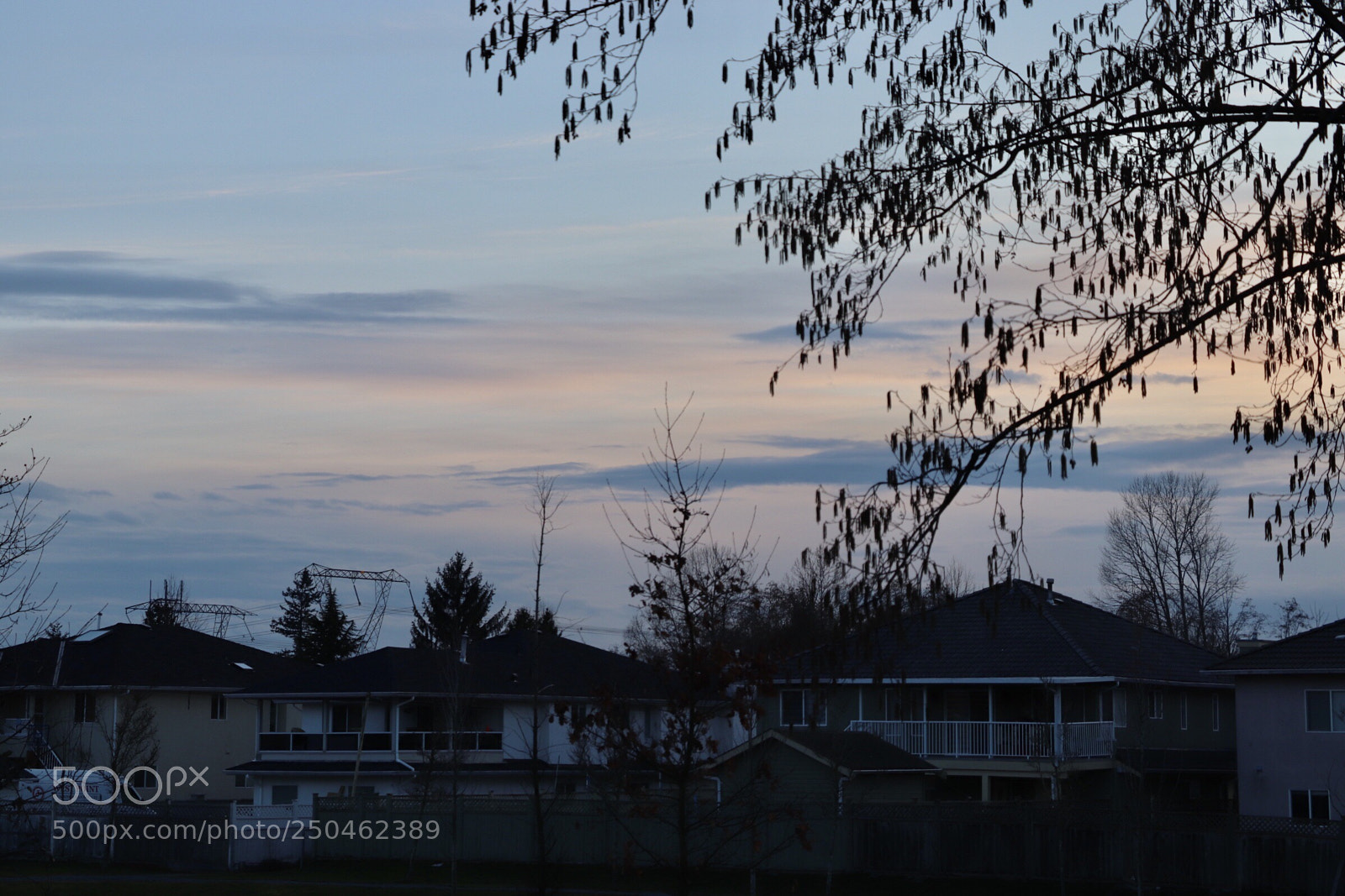 Canon EOS 800D (EOS Rebel T7i / EOS Kiss X9i) sample photo. Pink hues  photography