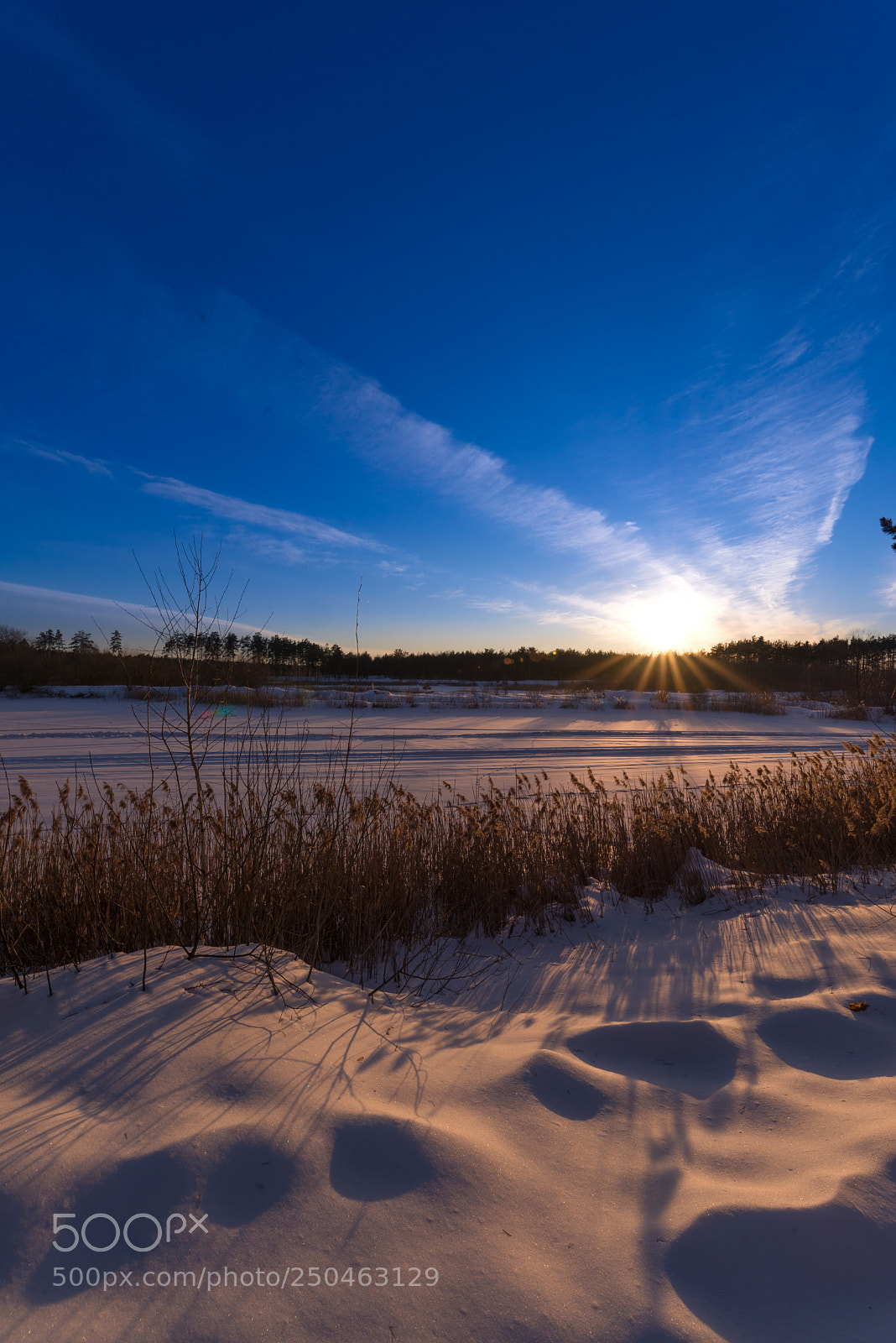 Nikon D600 sample photo. Untitled photography