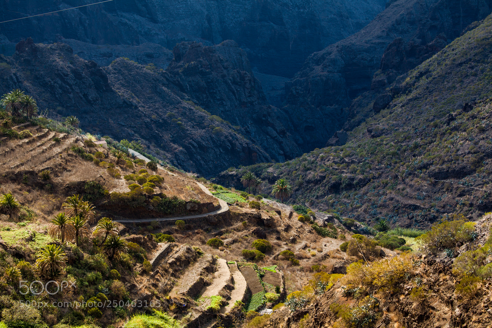 Canon EOS 5D Mark II sample photo. Jardins en terrasses photography