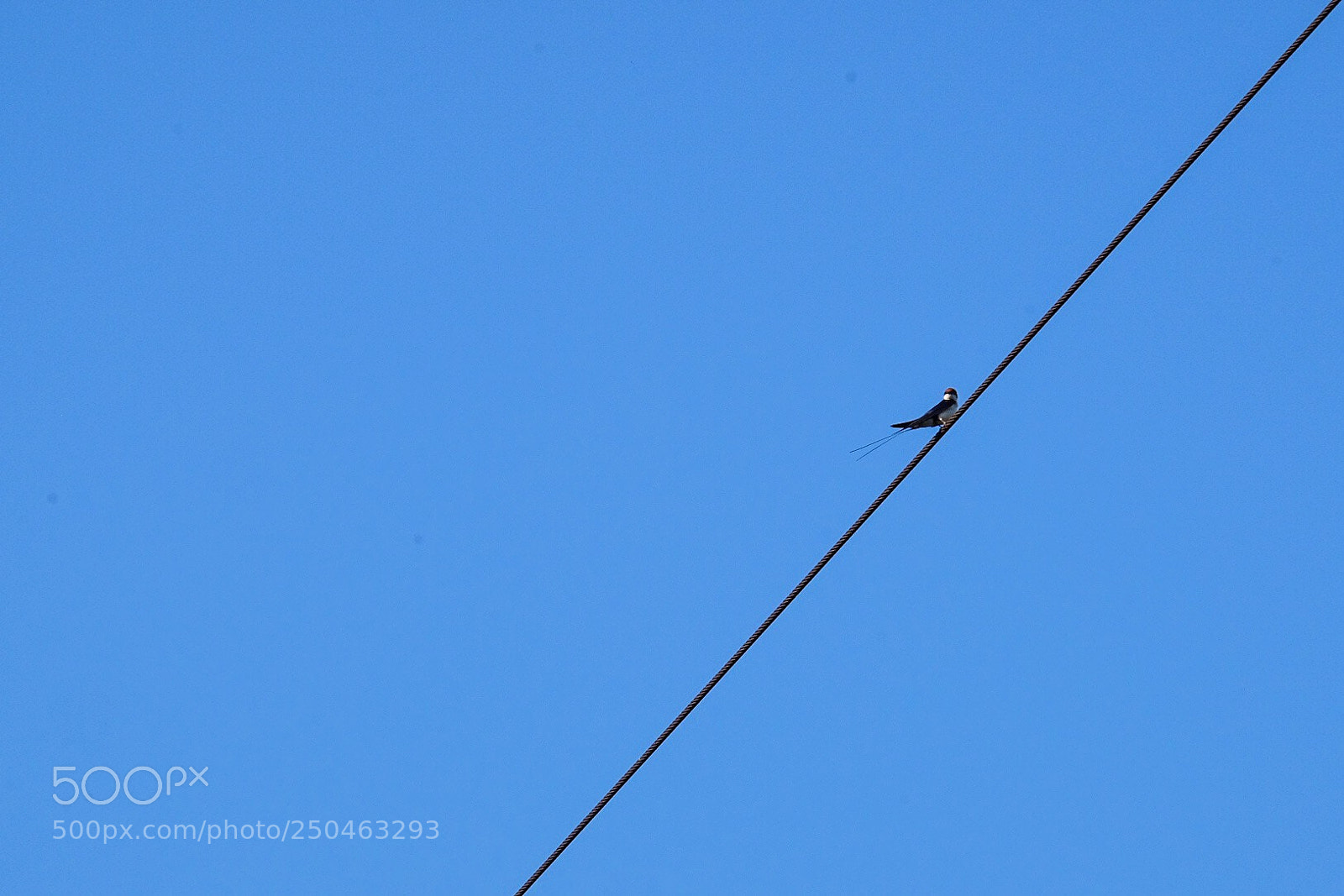 Fujifilm X-T1 sample photo. Untitled photography
