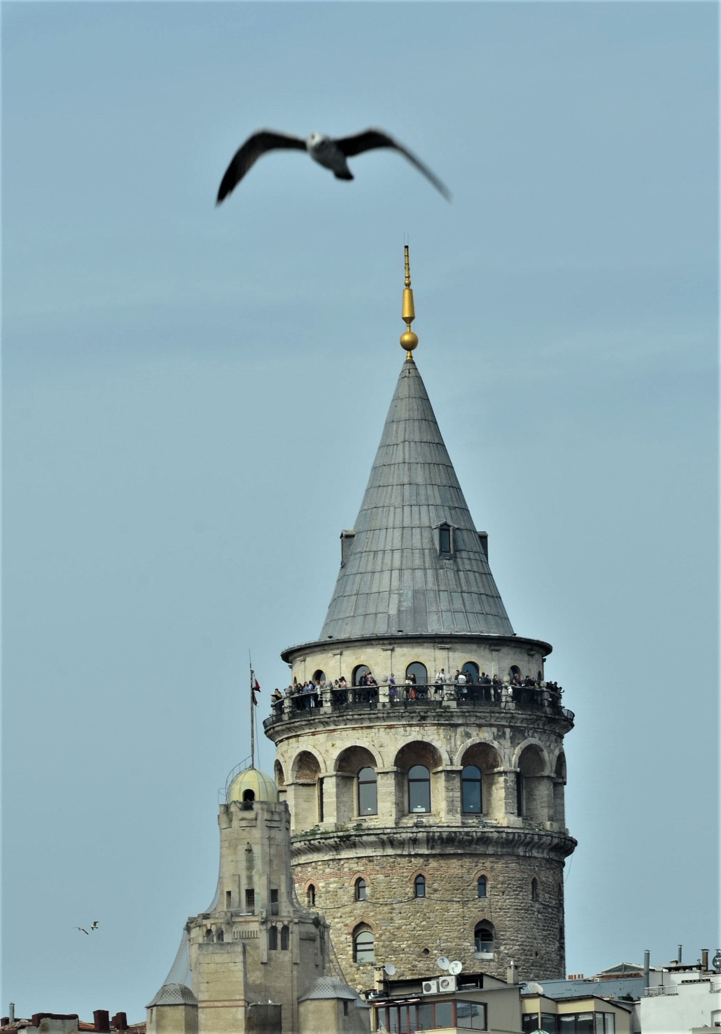 Nikon D7000 sample photo. () photography
