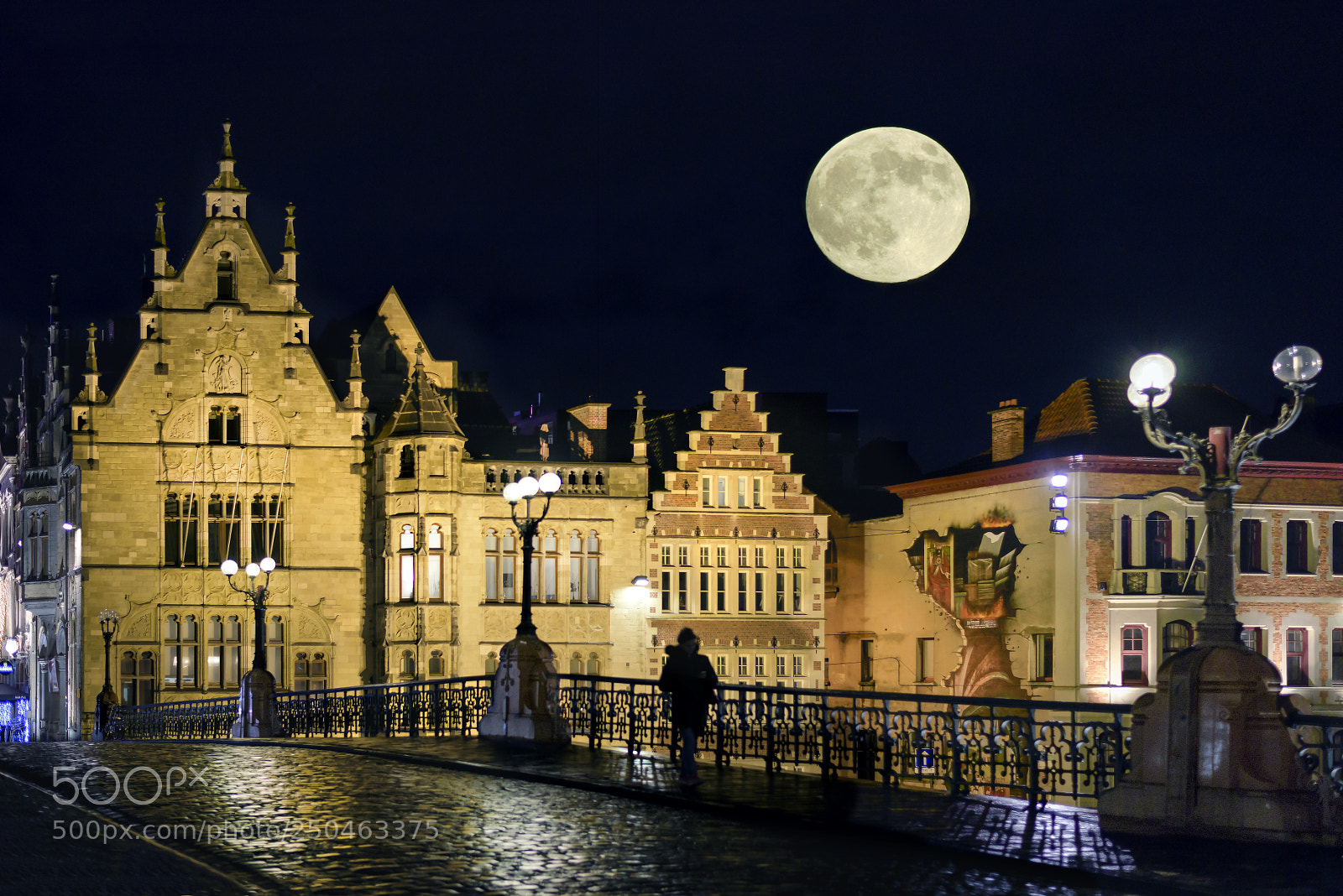 Nikon D810 sample photo. A night in ghent photography