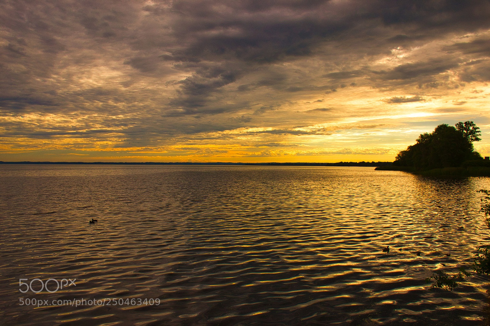 Nikon D3100 sample photo. Golden early morning at photography