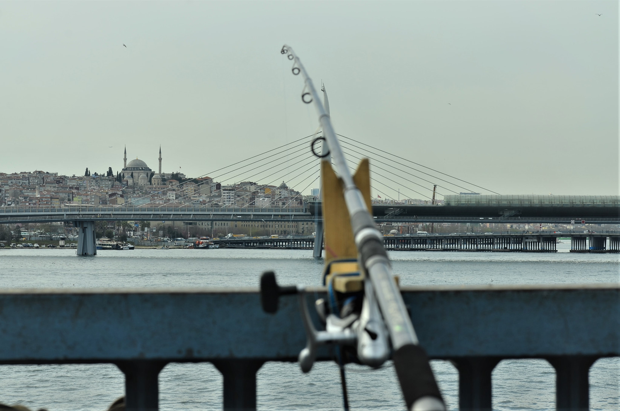 Nikon D7000 sample photo. () photography
