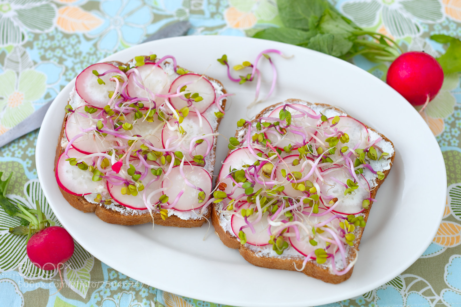 Canon EOS 5D Mark II sample photo. Radish sandwiches with sprouts photography