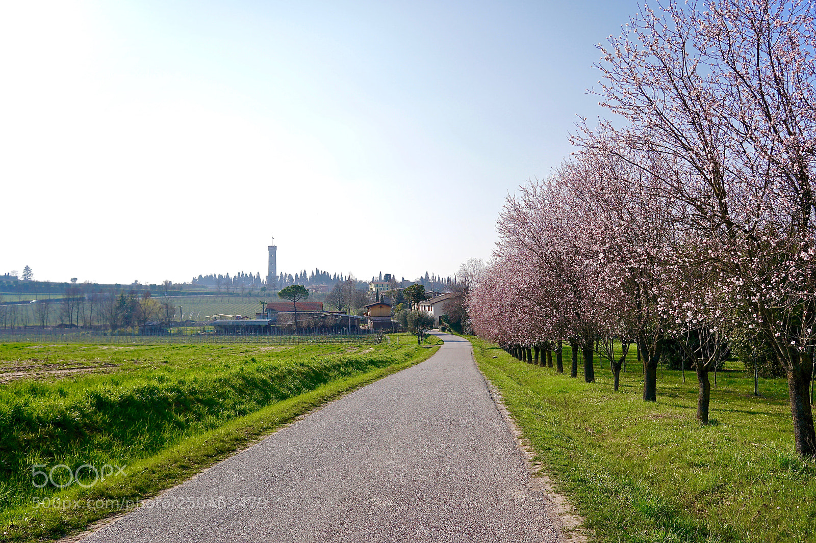 Sony a6300 sample photo. Spring road photography