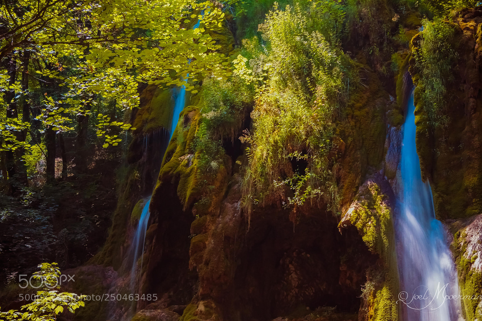 Sony SLT-A77 sample photo. Beauty in nature ! photography