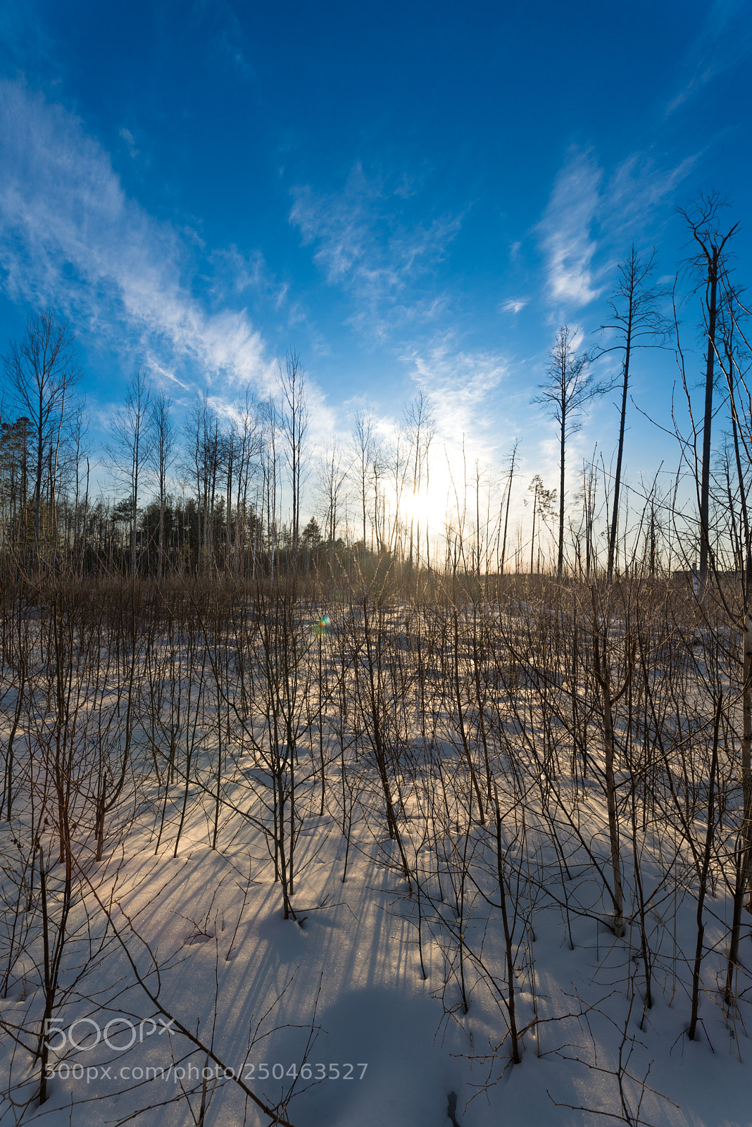 Nikon D600 sample photo. Untitled photography