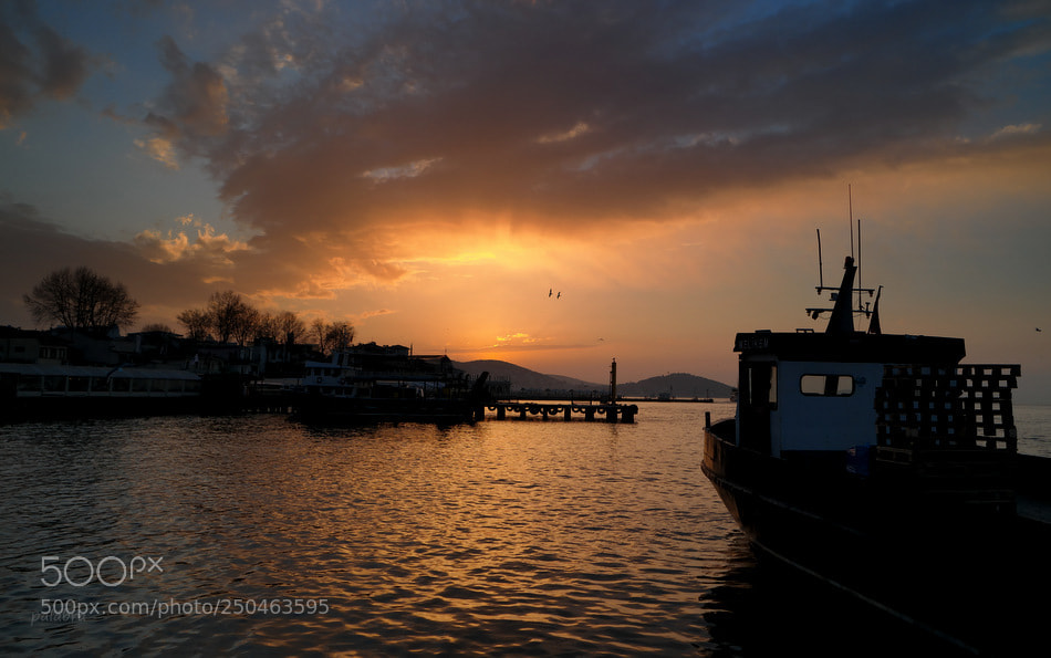 Samsung NX30 sample photo. ... photography