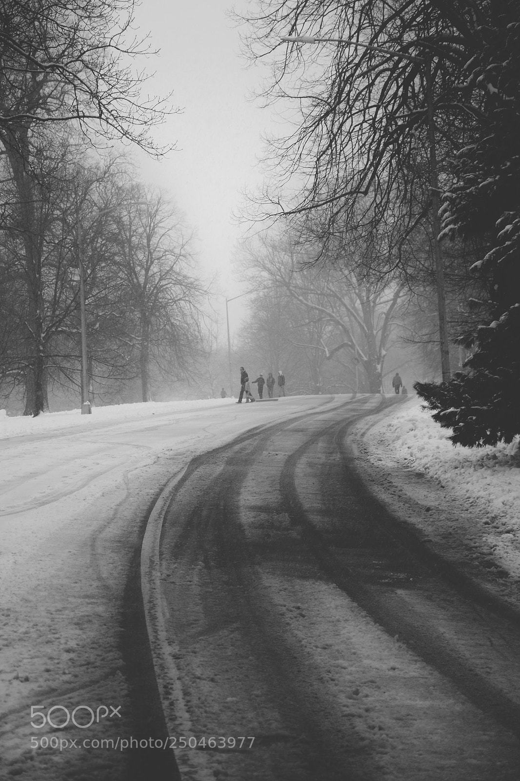 Nikon D5300 sample photo. Unbeaten path photography