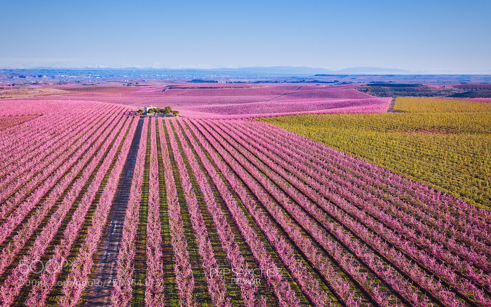 DJI FC220 sample photo. Aitona is pink photography