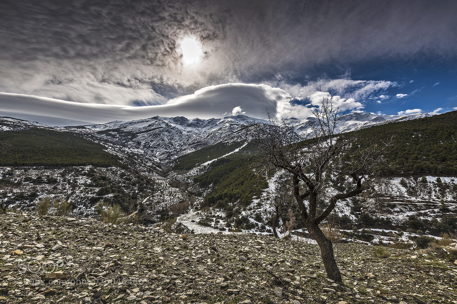 Nikon D800 sample photo. Sierra de abrucena photography