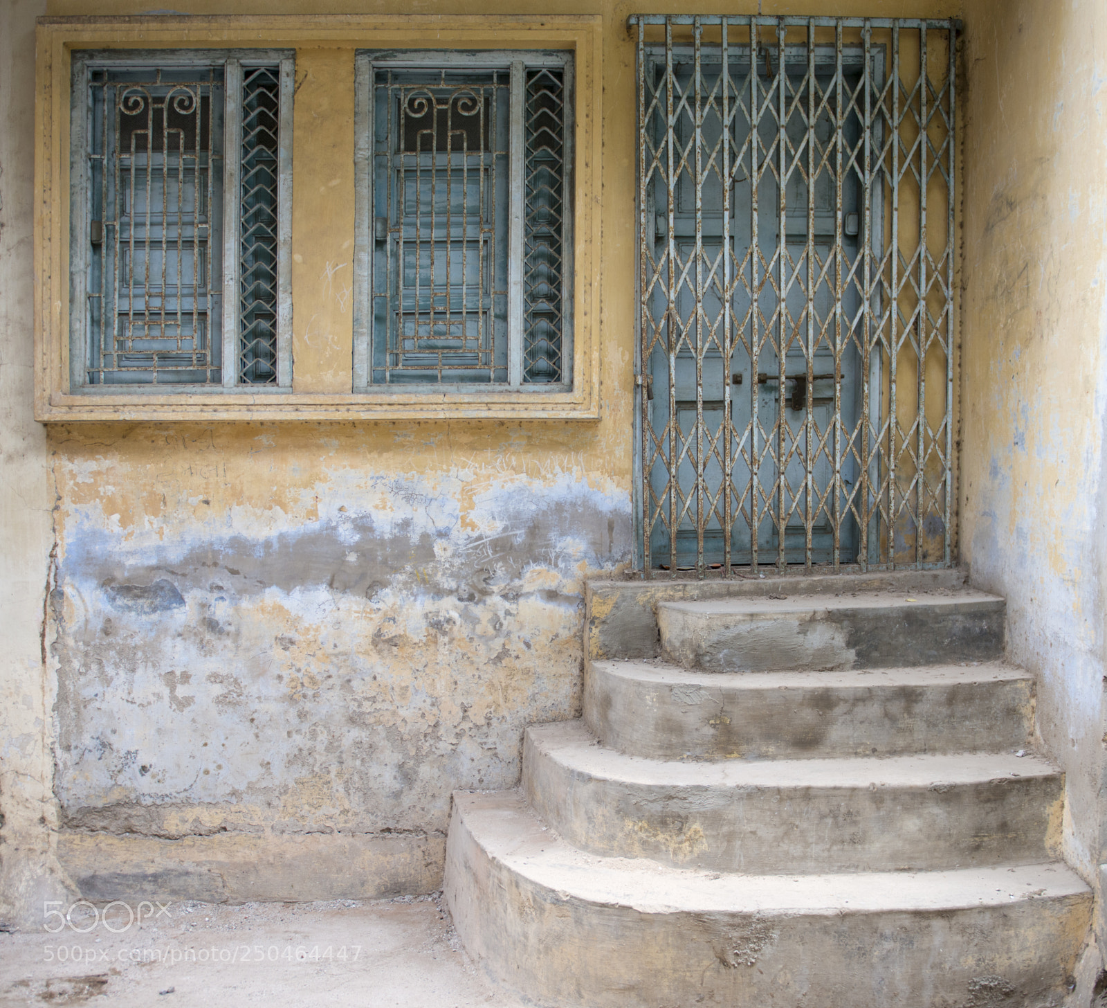 Nikon D800 sample photo. Yellow and blue photography