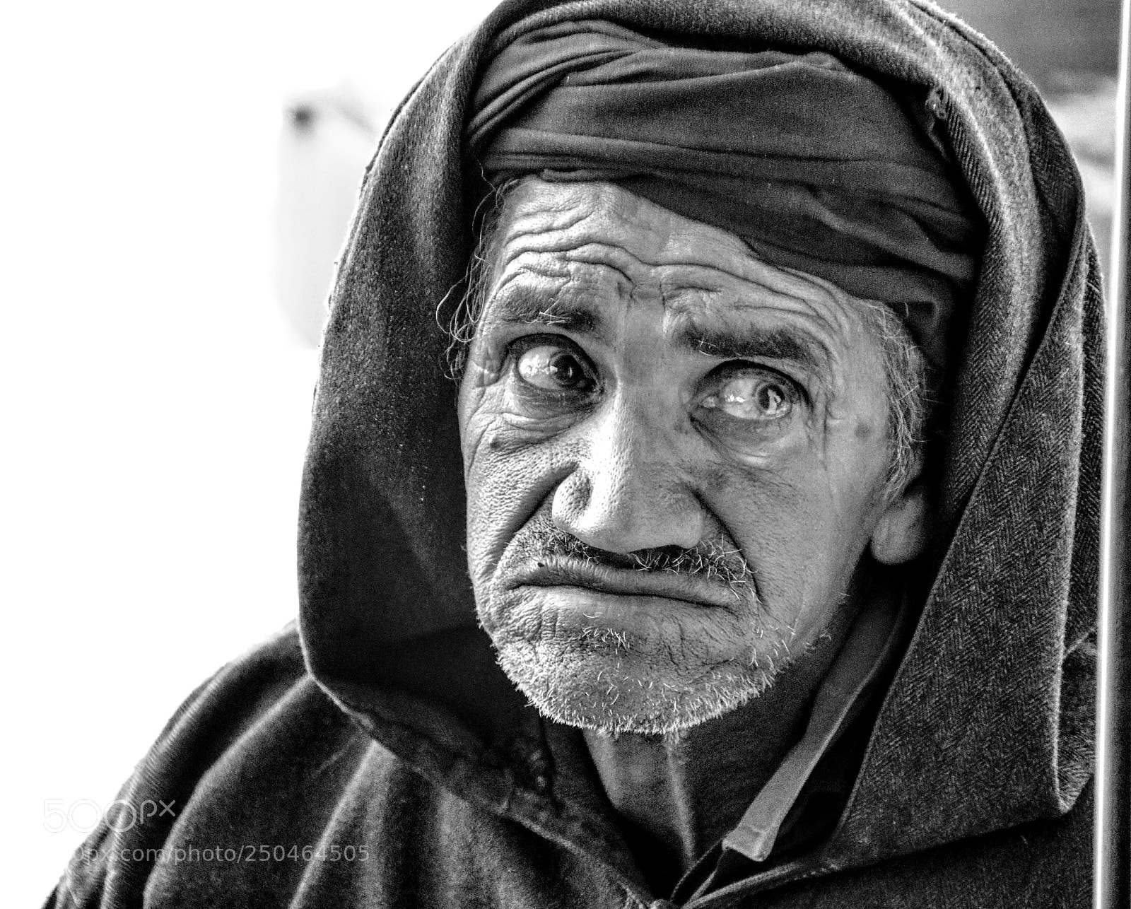 Canon EOS 80D sample photo. Untitled photography