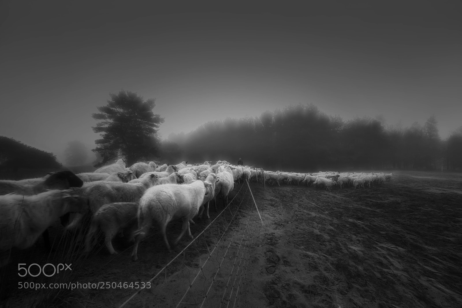 Sony a7R sample photo. Mystical land photography