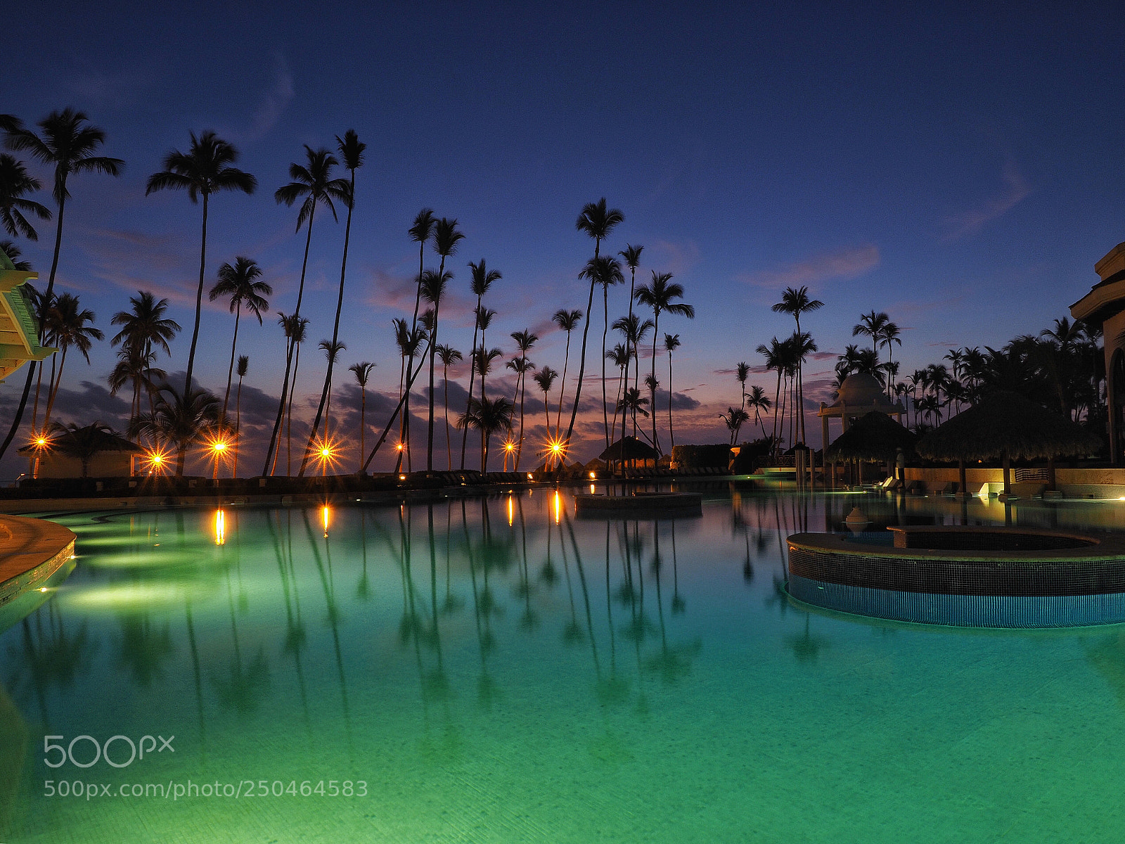 Olympus OM-D E-M1 Mark II sample photo. Palm trees reflections  photography