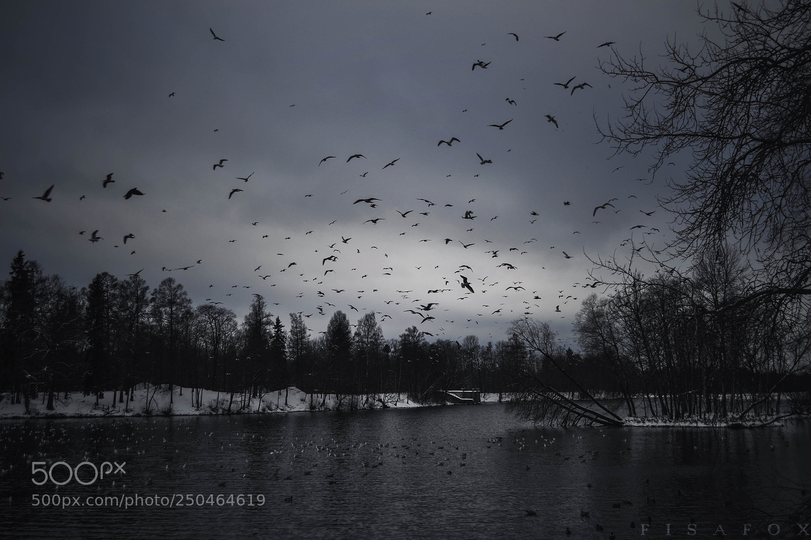 Nikon D3100 sample photo. Dark photography