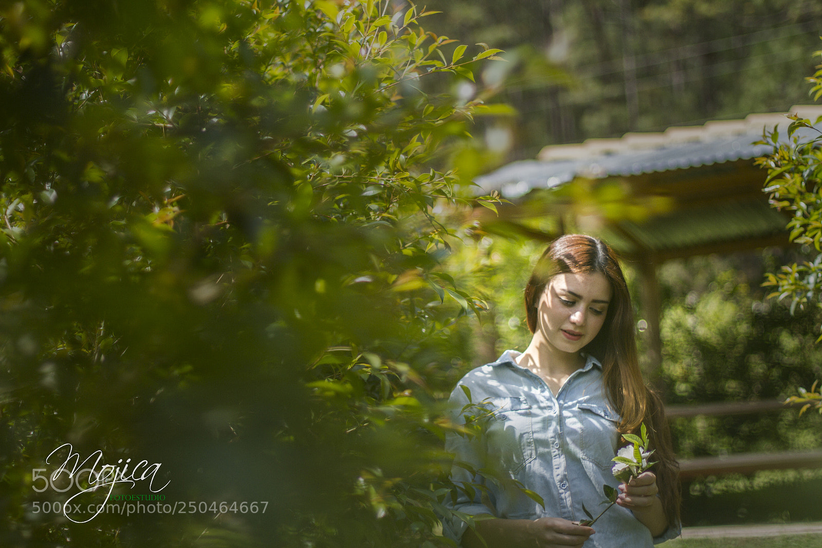 Canon EOS 7D sample photo. Cinthia photography