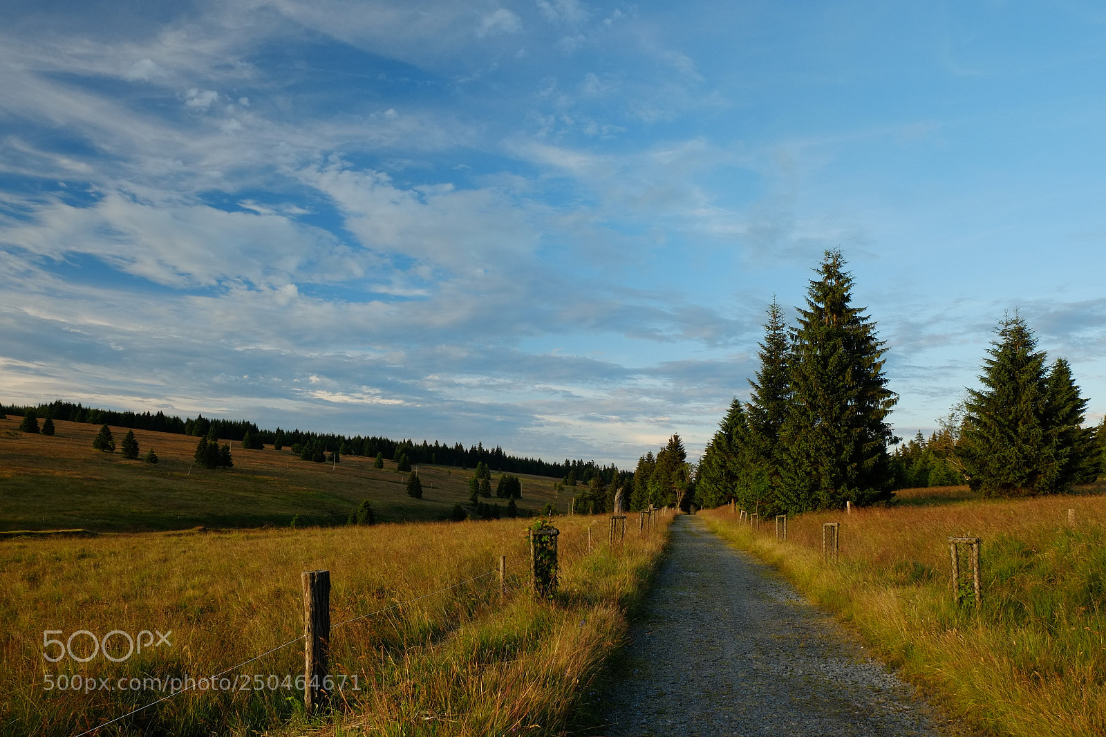 Fujifilm X-E1 sample photo. Krušné hory photography