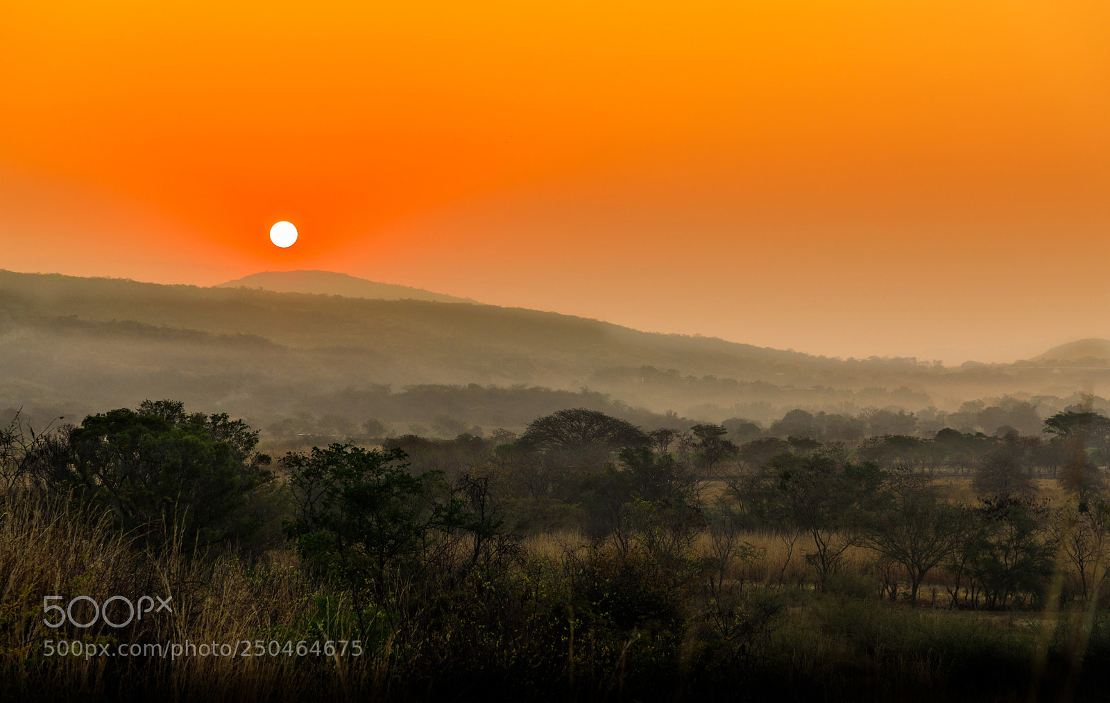 Canon EOS 5D Mark IV sample photo. Amanecer en los llanos photography
