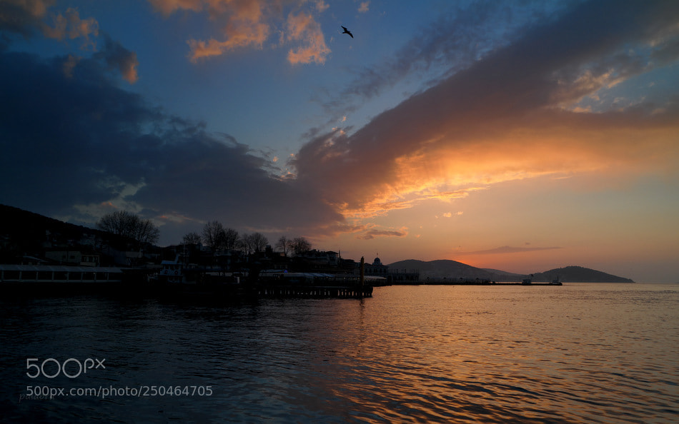 Samsung NX30 sample photo. ... photography