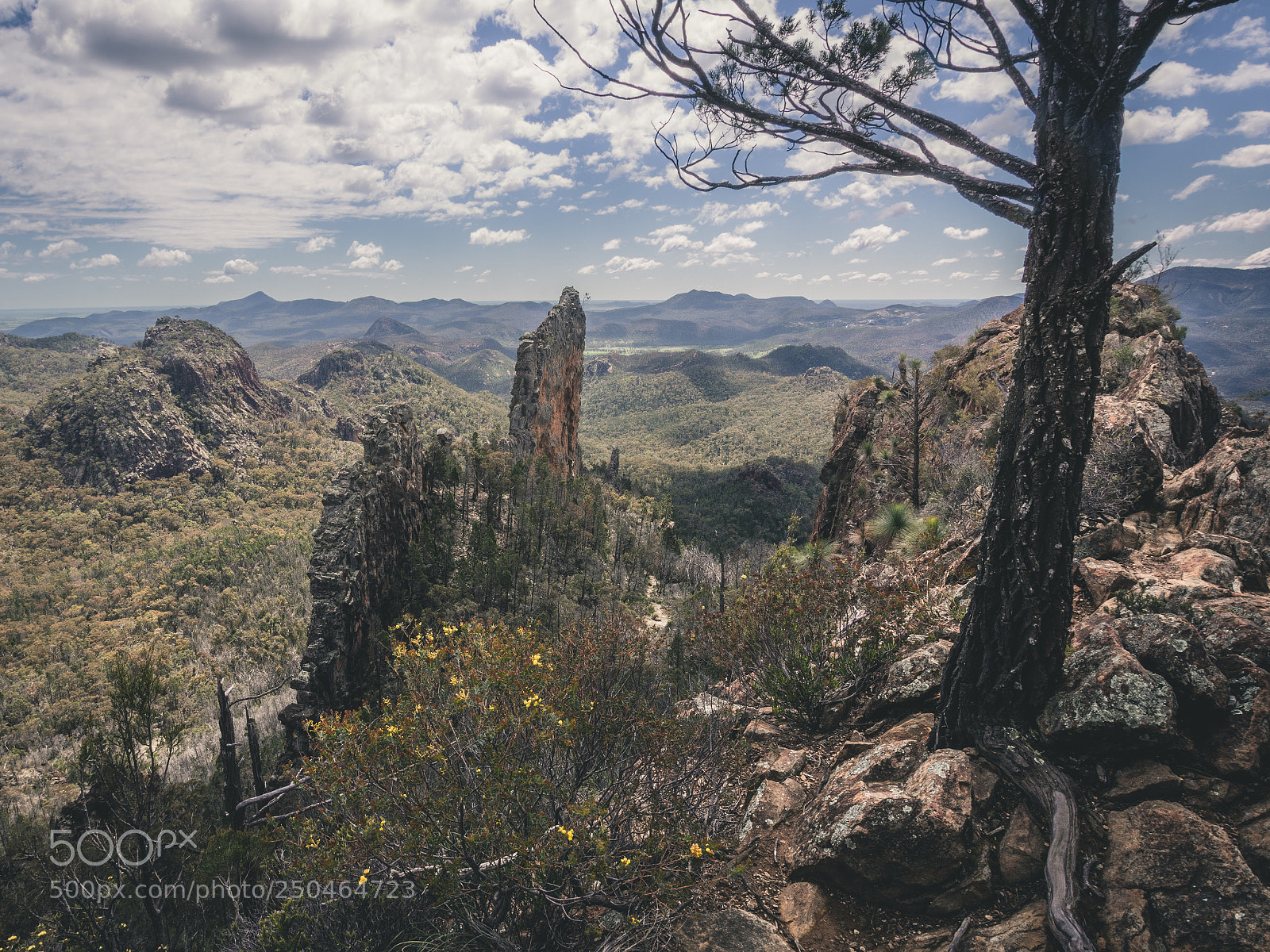 Nikon D7200 sample photo. Warrumbungles photography