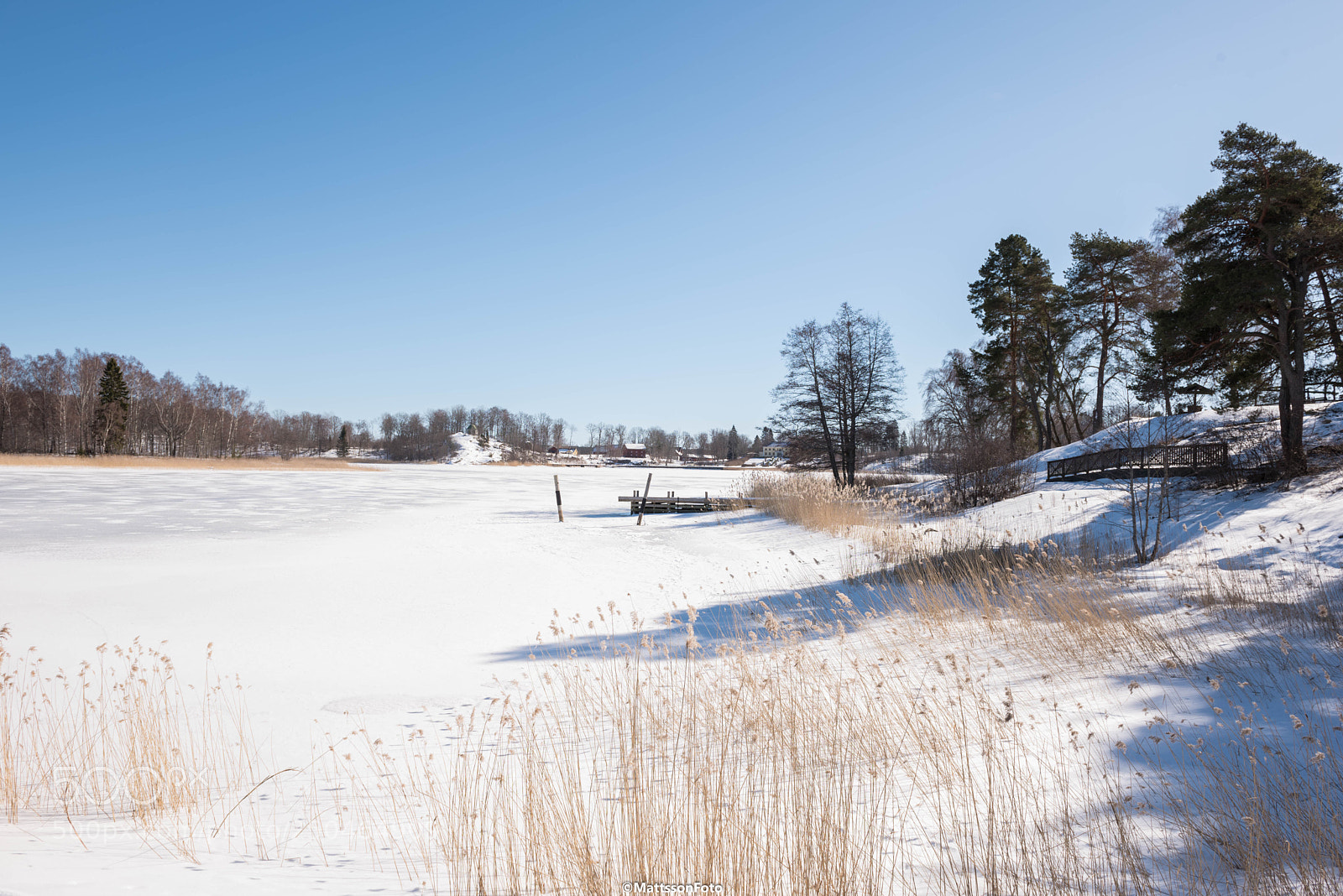 Nikon D750 sample photo. Winter in sweden photography