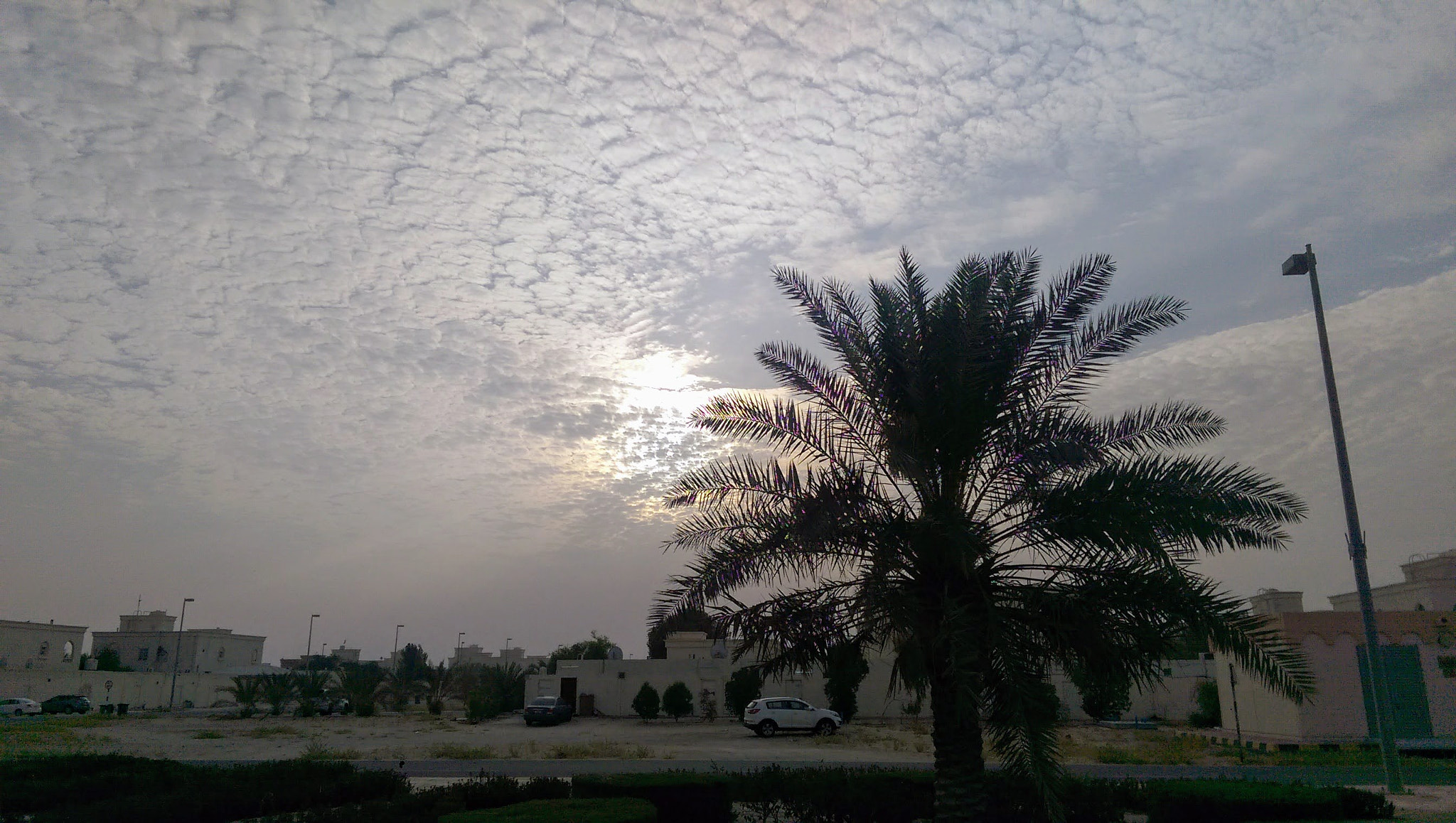 HTC ONE M8 sample photo
