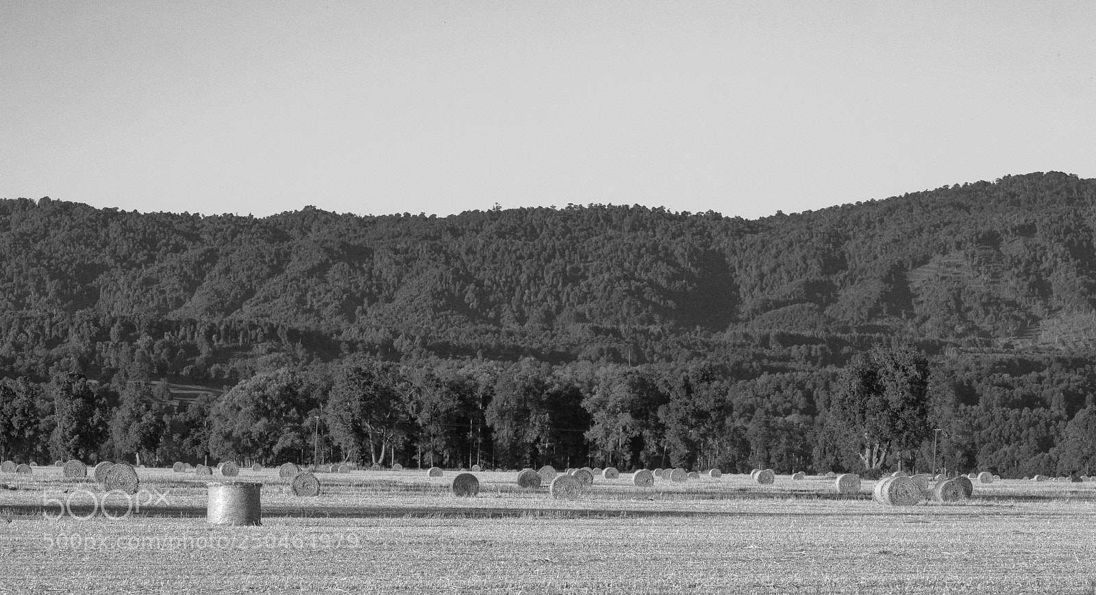 Canon EOS 60D sample photo. Fardos photography